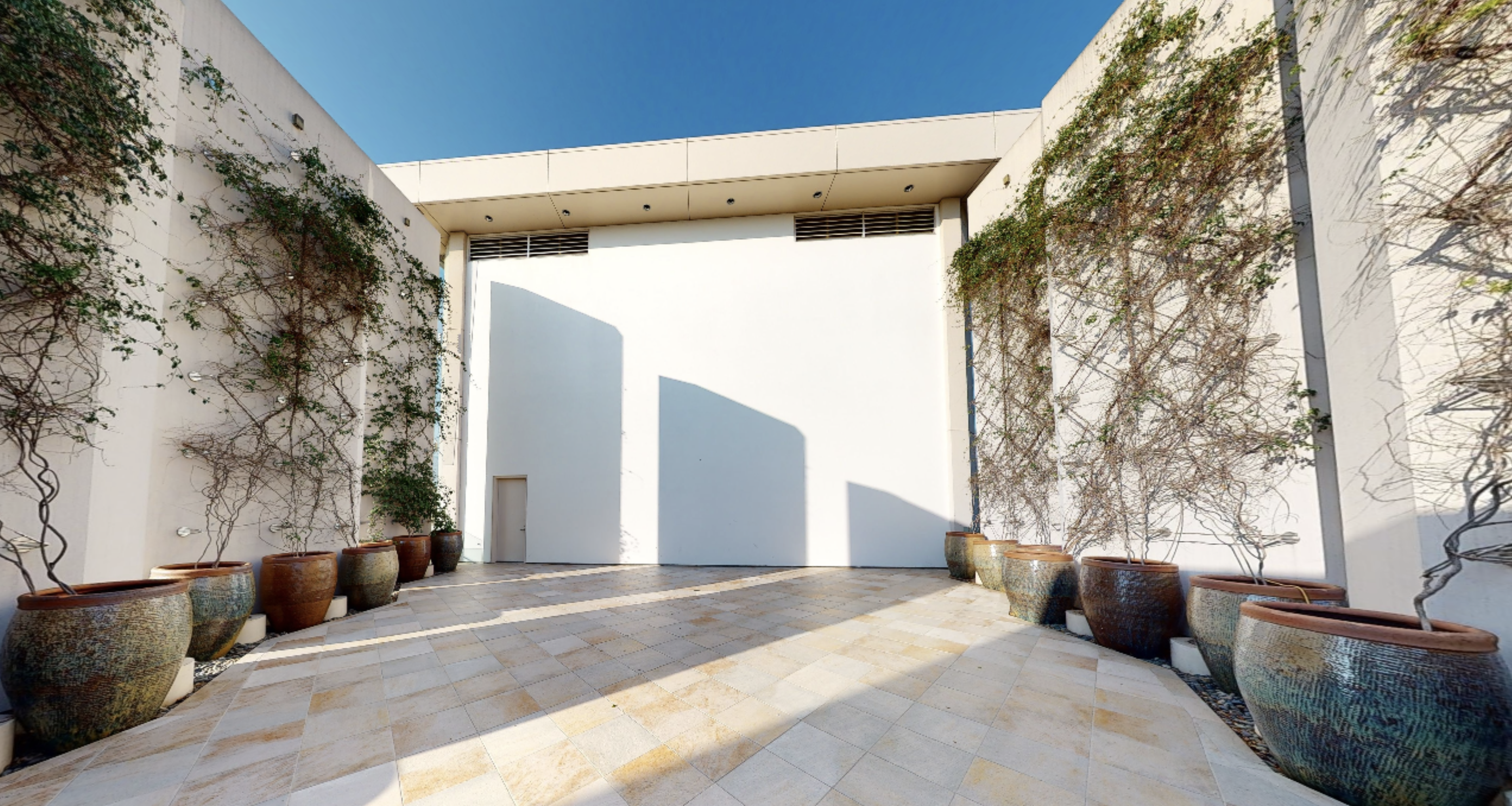 A view from inside the business meeting venue starlight terrace. You can see the back wall, perfect for projecting with the blue sky high above. Greenery climbing the walls adds a special touch.